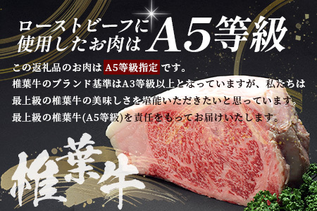 【定期便】3回定期便 宮崎県産 椎葉牛 ローストビーフブロック 200g（100g×2P）［送料無料 定期便 宮崎 椎葉 ローストビーフブロック ローストビーフ ブロック 国産 国産牛 黒毛和牛 和牛