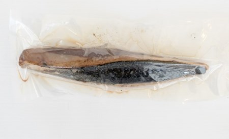 土佐の生カツオのたたき２節（計約500g〜550g）漁師町伝統タレ・にんにく・ネギ付（中 ）鰹 刺身 高知 タタキ【R00491】