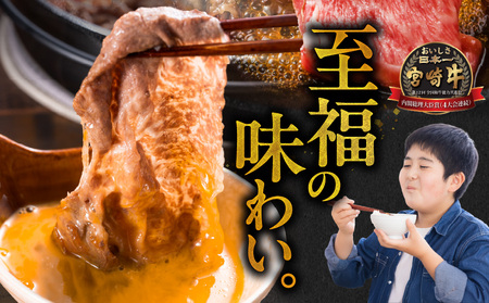 畜産農家応援! 宮崎牛スライス2種セット250g×2パック+豚肉ハンバーグ100g×4個_13-N201-ESH_(都城市) 宮崎県産宮崎牛 肩ローススライス 宮崎牛ウデ又はモモスライス すき焼き し