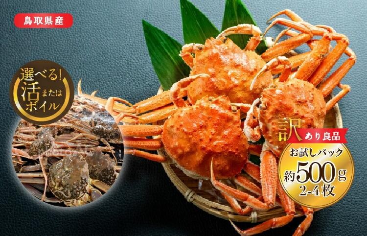 
                  【選べる！活またはボイル】鳥取県産 訳あり 良品セコガニ お試しパック 約500ｇ（2～4枚）※2025/11/6～2025/12/29に順次発送予定※着日指定不可  離島不可（北海道、沖縄本島は配送可能） ｜ 蟹 かに せこがに 訳あり 家庭用 鳥取県産 おすすめ 人気
                