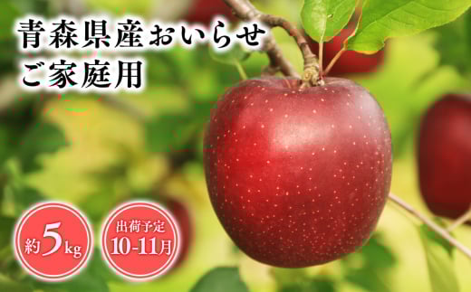 2025年産１０月・１１月発送　【訳あり】家庭用おいらせ5ｋｇ　【そと川りんご園・１０月・１１月・青森県産・平川市・りんご・おいらせ・5ｋｇ・訳あり・家庭用】