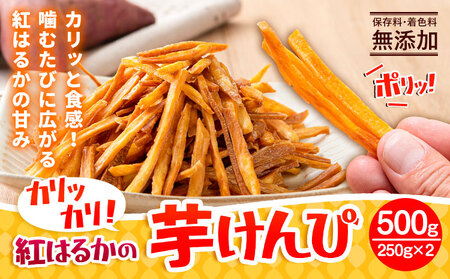 紅はるかの芋けんぴ 500g さつまいも