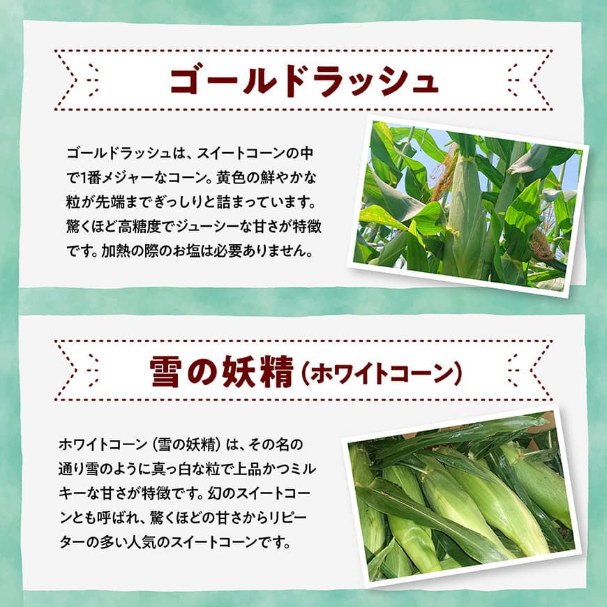 【3回定期便】※令和8年発送※ 大山さんちのスイートコーン3種（5～8本） 【 先行予約 数量限定 期間限定 スィートコーン 2026年発送 先行受付 宮崎県産 九州産 定期便 】