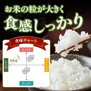 特別栽培米 雪若丸 10kg 【山形県産】【2025年度産米】 001-095