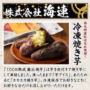 阿久根市特産品詰め合わせセットA(冷凍便) うどん 肉うどん 軟骨うどん 麺 手ごね ハンバーグ 焼肉GONZA お惣菜 おかず 冷凍 焼き芋 やきいも 焼芋 海連 お楽しみ 詰合せ バラエティー コ