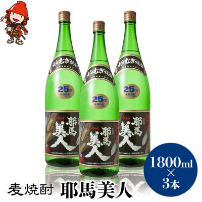 ふるさと納税 中津市 麦焼酎　耶馬美人25度　 1,800ml×3
