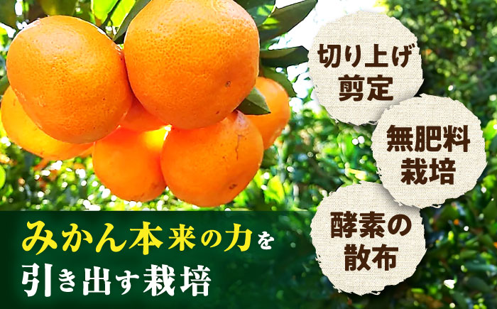 〈先行予約〉【11月中旬頃～1月中旬配送】長崎県産 温州みかん 約2.5kg 大村市 山光農園 [ACAI001]