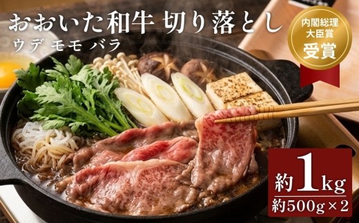 
おおいた和牛 切り落とし 約500g×2P 計1kg ウデ モモ バラ
