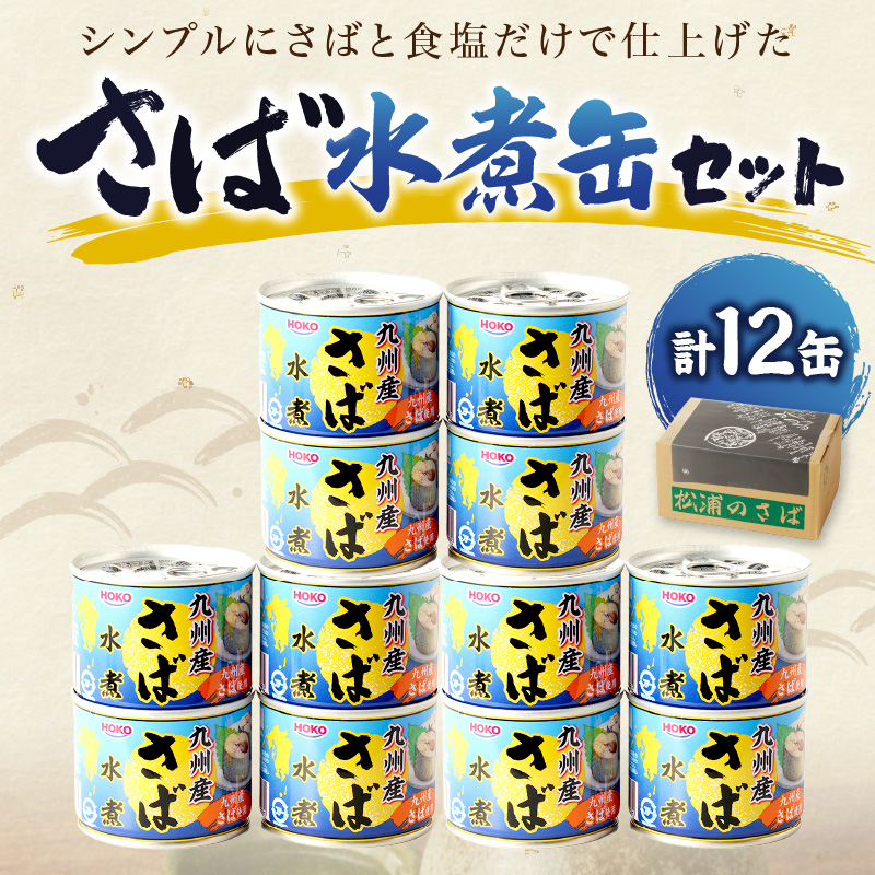 さば水煮缶セット(12缶)【B2-108】 サバ さば 鯖 缶詰 非常食 保存食 海鮮 さば缶 肴 おかず 栄養 健康