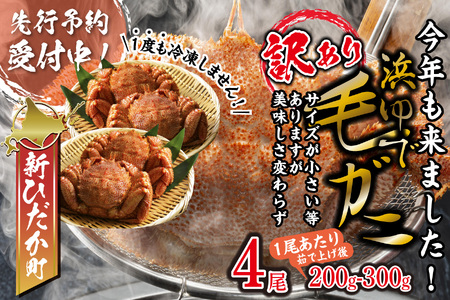 訳あり 北海道産 浜ゆで 毛ガニ 4尾  (1尾あたり200~300g)  ＜2025年1月から順次発送＞ 北海道 新ひだか町 毛ガニ毛ガニ毛ガニ毛ガニ毛ガニ