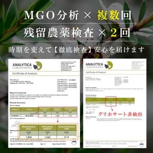 【2ヵ月毎定期便】ストロングマヌカハニー【MGO1050+】500g×2個　全6回【4050132】