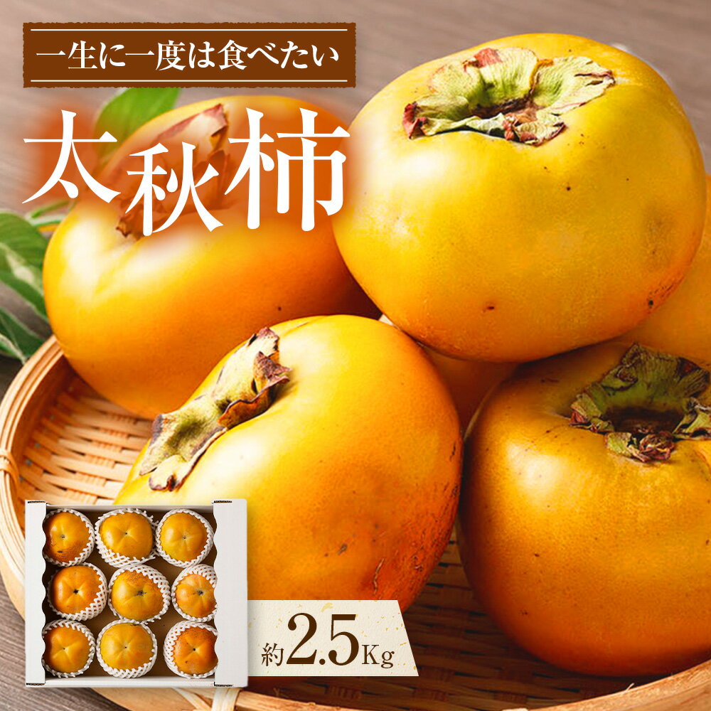 【ふるさと納税】熊本県産 プレミアム 太秋柿 約2.5kg 約8～12玉 たいしゅうがき 柿 カキ かき 果物 くだもの フルーツ 常温 九州 熊本県 送料無料 【2025年10月上旬発送開始】