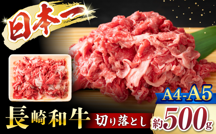 【A4〜A5】 長崎和牛 切り落とし 約500g＜株式会社MEAT PLUS＞ [CFT003] 長崎 和牛 切り落とし 牛肉 便利 10000円 1万円