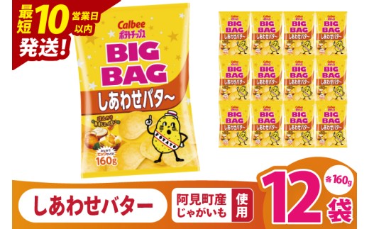 【10営業日以内に出荷】カルビー ポテトチップ スしあわせバタ～ BIGBAG 160g×12個｜Calbee お菓子 菓子 おやつ おかし ぽてち ポテチ スナック おつまみ ジャガイモ じゃがいも（93-106）