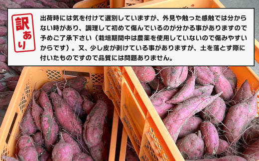 【訳アリ】淡路島産サツマイモ 5kg【栽培期間中、無農薬栽