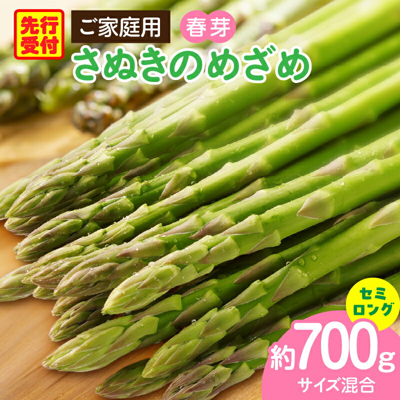【ふるさと納税】ご家庭用アスパラガス「さぬきのめざめ」（セミロング）春芽　サイズ混合約700g 野菜 アスパラ アスパラガス さぬきのめざめ 家庭用 春 冷蔵 新鮮 香川県 三木町 セミロング おすすめ