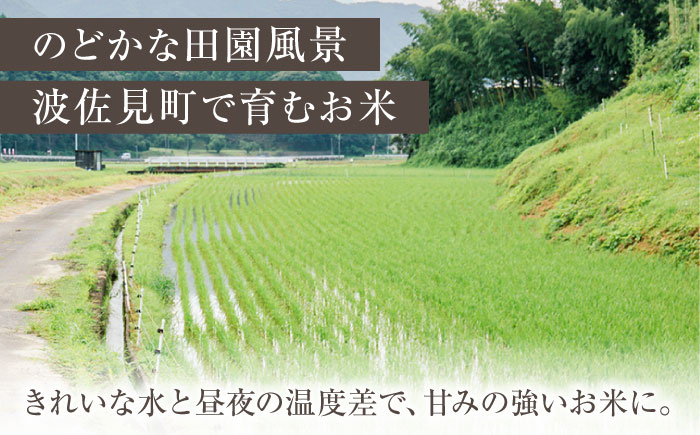 【令和6年度新米】ヒノヒカリ 白米 5kg  波佐見町産【冨永米穀店】 [ZF01]