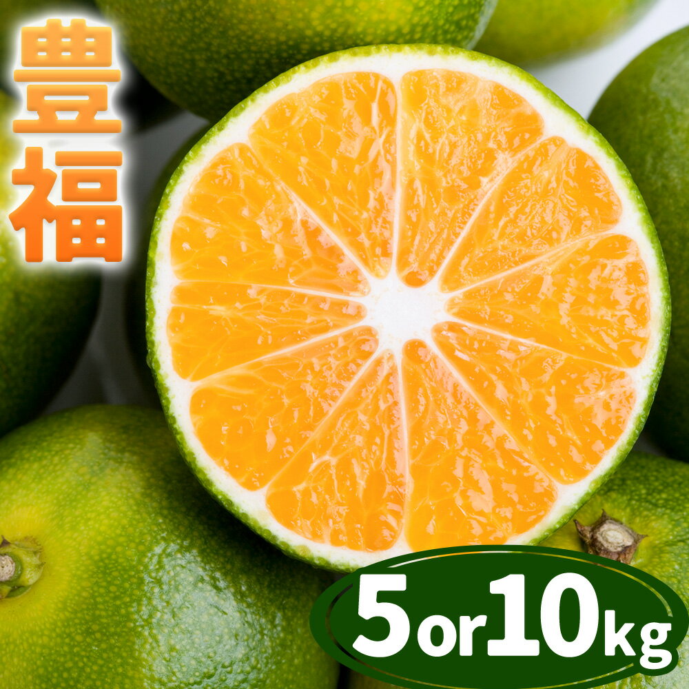 【ふるさと納税】【先行予約】 果物 フルーツ みかん 極早生みかん 豊福 選べる内容量 約5kg 約10kg 都呂々みかん生産者グループ《10月中旬-11月下旬頃出荷》 ミカン 蜜柑 柑橘 生産者直送 産地直送 天草 苓北 送料無料 熊本県【配送不可地域あり】