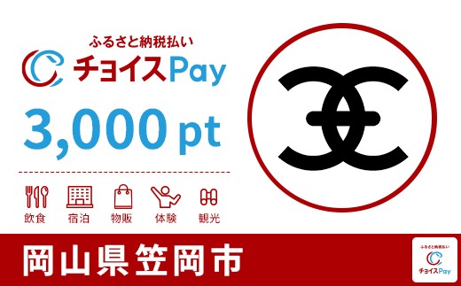 
            笠岡市チョイスPay 3,000pt【会員限定のお礼の品】
          