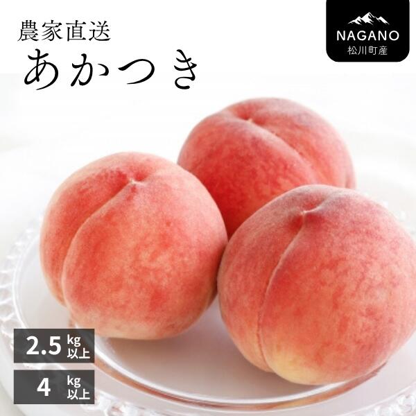 【ふるさと納税】桃 あかつき 2.5kg or 4kg以上 長野県松川町産｜長野県 南信州 松川町 モモ 贈答 産地直送 新鮮