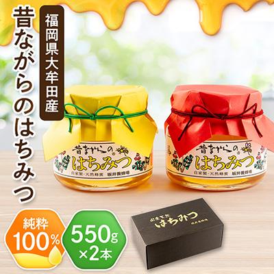 ふるさと納税 大牟田市 坂井養蜂場　昔ながらの蜂蜜　550g　2本組