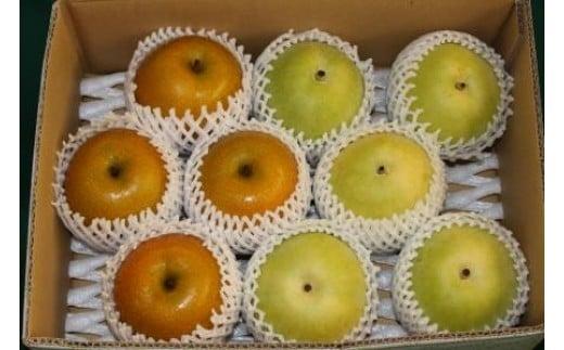 新甘泉梨と二十世紀梨詰め合わせ 3kg (玉数は合わせて約6～10玉) 312011_BU004