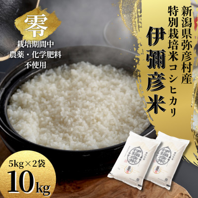 令和7年産 新潟県産 栽培期間中農薬不使用 コシヒカリ「伊彌彦米 零(ぜろ)」 10kg