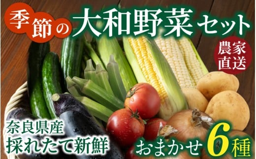 奈良県産 季節の大和野菜 おまかせ６種セット 【入金確認後２週間以内に発送】／ スマイル葛城農業 奈良 葛城市 野菜野菜 産直 新鮮 旬 茹で スープ サラダ グリル 名産 健康 美容 栄養 ふるさと