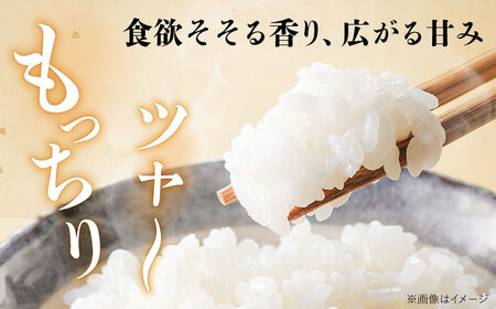 【先行予約】【令和6年産 新米】 福井県産こしひかり 白米 10kg【2024年9月中旬より順次発送】[A-046003]