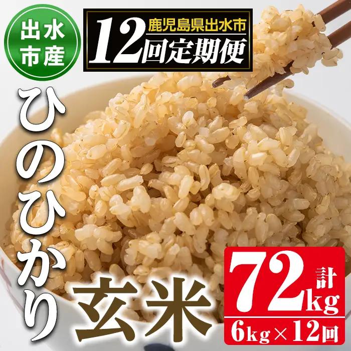 【12回定期便(連続)】鹿児島県 出水市産 ひのひかり 玄米 定期便 (3kg×2袋・計6kg)×全12回 【田上商店】 i663