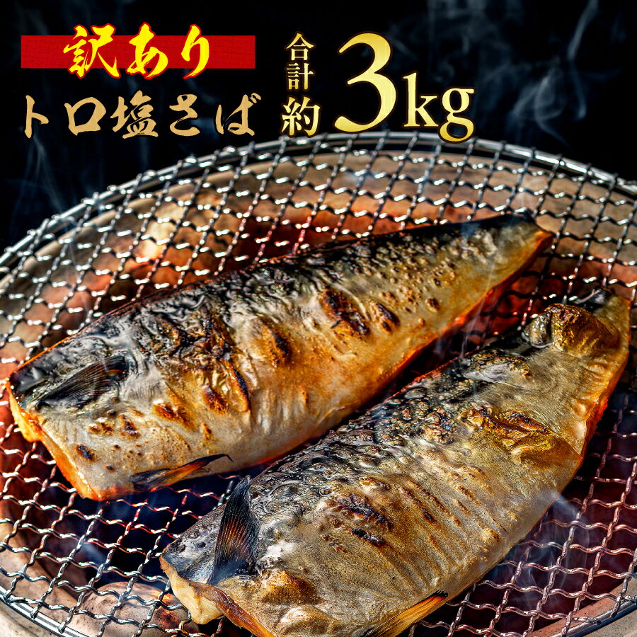 訳あり トロ 塩さば 3.5kg 大盛り 千葉 銚子 塩鯖 おかず おつまみ 酒 あて 海鮮 魚 飯田商店 ※北海道、沖縄、離島への配送不可