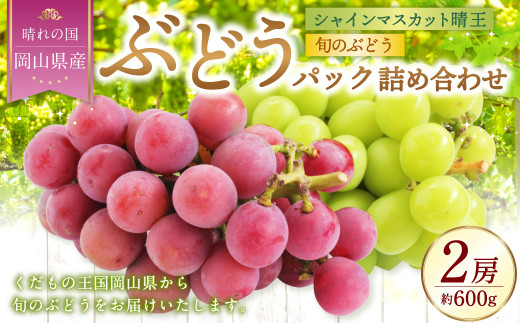 岡山県産 ぶどうパック詰合せ ※2種2パックセット （ シャインマスカット ・ 旬のぶどう ） 【2025年9月上旬～11月下旬発送予定】 ／ ぶどう ブドウ 葡萄 種なし 種無し マスカット 晴王 はるお 旬の葡萄 フルーツ 果物 くだもの 果実
