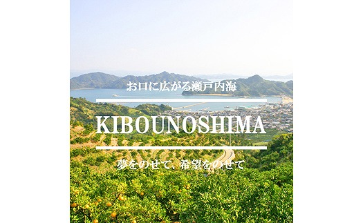 レモン 3kg 【10月中旬から発送予定】 愛媛 中島産 柑橘 レモン 希望の島