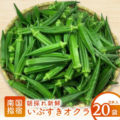 【ふるさと納税】＜期間限定＞鹿児島県指宿市産！朝採れ新鮮いぶすきオクラ(計160本・8本×20袋)おくら オクラ 豆 野菜 鹿児島県 そうめん 納豆 キムチ 【指宿促成青果】