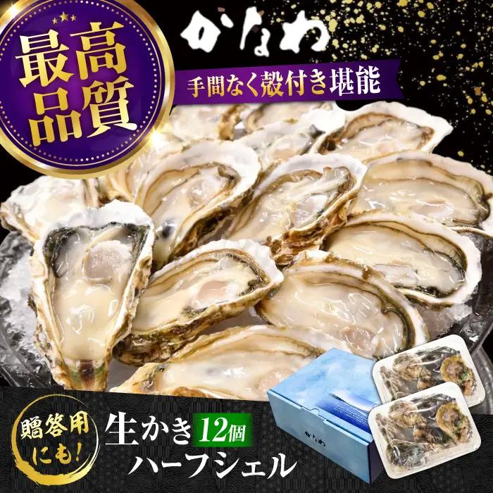 生牡蠣殻付き開殻12個 牡蠣[XBP010]