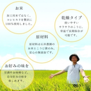 乾燥米こうじ 500g×12袋 新潟県認証特別栽培米 コシヒカリ使用 | 米麹