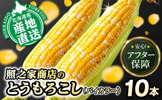 【2026年先行予約】照之家商店 鮮度抜群 とうもろこし「黄色と白粒のバイカラーコーン」ドルチェドリーム 10本 | とうもろこし トウモロコシ 北海道とうもろこし 朝採れとうもろこし 産地直送とうもろこし 北海道産とうもろこし st-p