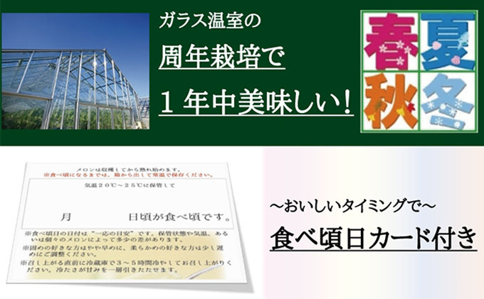 クラウンメロン”名人メロン”　3玉入　ギフト箱入り 果物類 メロン青肉 フルーツ 