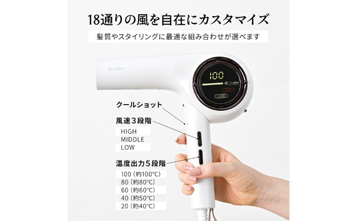 ドライヤー ヘアドライヤー 大風量 折り畳み コンパクト 海外対応 速乾 プラスイオン マイナスイオン ヘアケア 家電 美髪