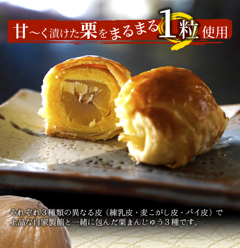栗ざんまい！栗まんじゅう３種類食べ比べセット　H149-012