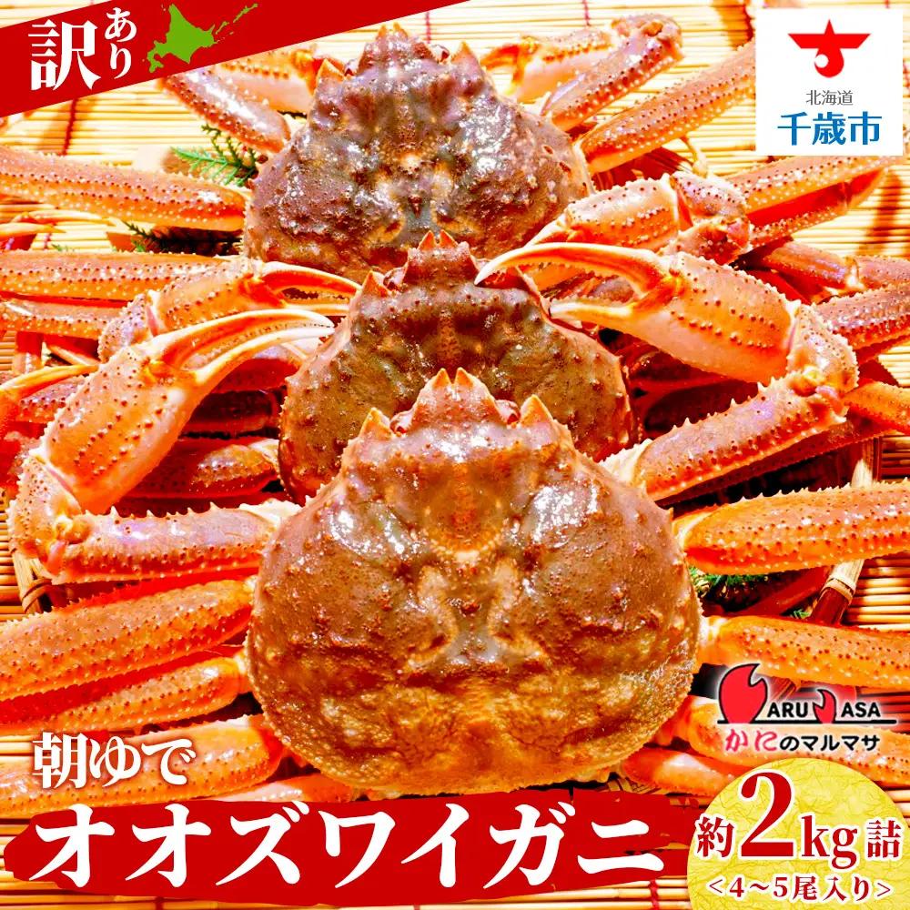 北海道産【 朝ゆで 】訳ありオオズワイガニ 2.0kg ＜かにのマルマサ＞