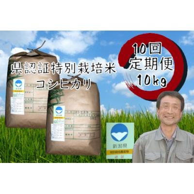 ふるさと納税 阿賀野市 【令和8年産新米先行受付】【10回定期便】新潟県認証!特別栽培米 コシヒカリ 10kg