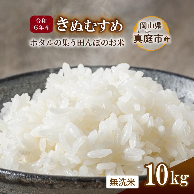【ふるさと納税】令和6年産 きぬむすめ 無洗米 10kg 岡山県真庭市産 ／ 国産 お米 ブランド米【takenaka004】