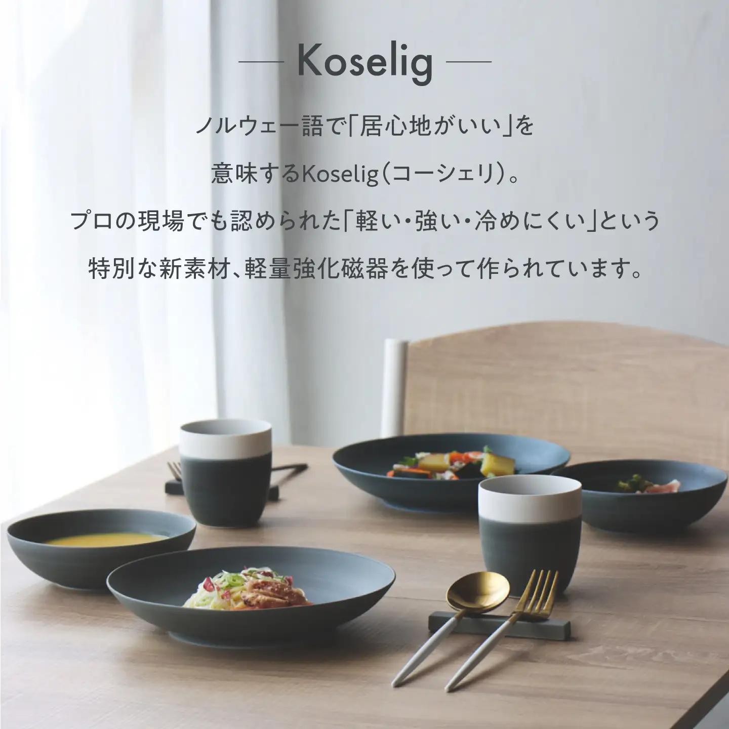 【波佐見焼】Multi plate 21cm ダークブラウン 2枚セット Koseligシリーズ【山忠】 パスタ皿 カレー皿 深皿[BH04]