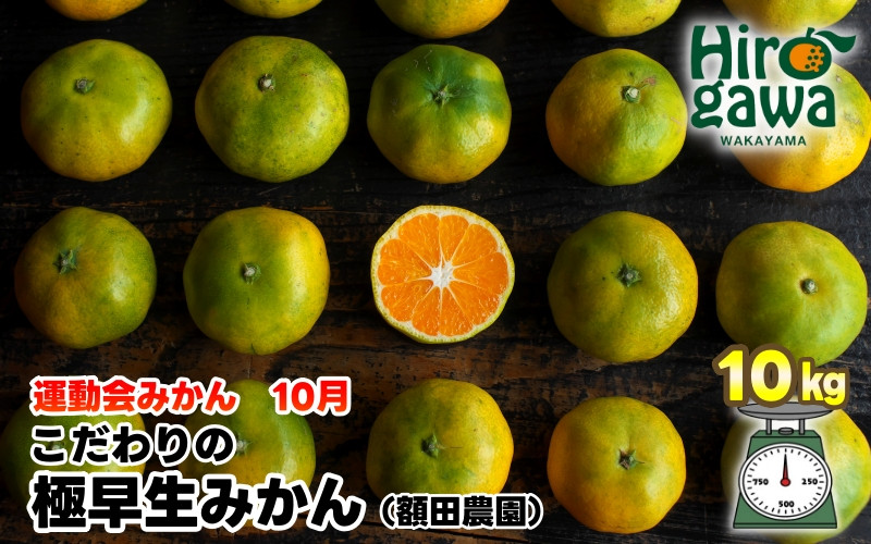 
            【先行予約】極早生 みかん 家庭用 10kg / 極早生みかん 温州みかん 甘い 家庭用 和歌山 柑橘 ※2026年10月上旬～11月上旬順次発送 ※北海道・沖縄・離島への配送不可 【nuk003-r-10D】
          