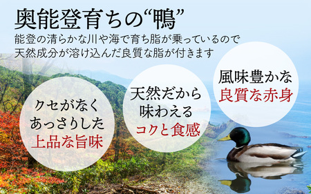 能登 穴水産 天然「鴨」（羽付き）1羽 |お肉 鴨肉 天然