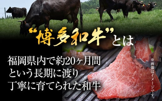 訳あり【A4～A5】博多和牛焼肉切り落とし(肩ロース・バラ）500g 黒毛和牛 お取り寄せグルメ お取り寄せ お土産 九州 福岡土産 取り寄せ グルメ MEAT PLUS CP021