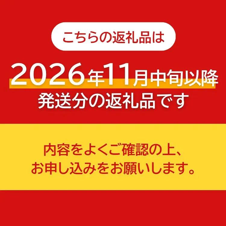 【先行予約】岐阜県瑞穂市産 訳あり富有柿 10kg | 柿 富有柿 ※2026年11月～発送