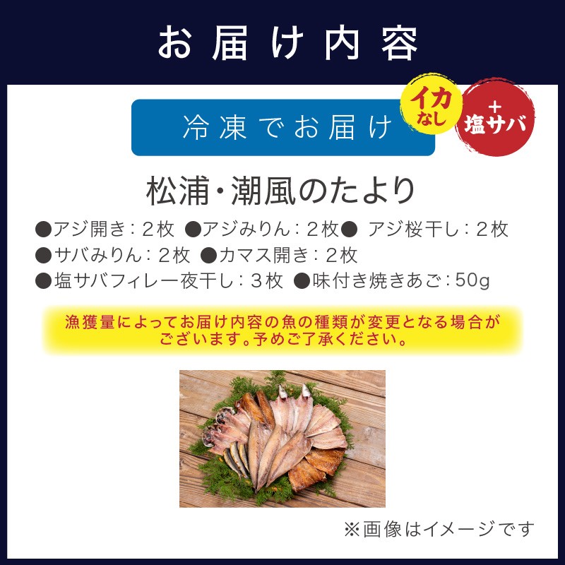 松浦・潮風のたより(イカなし＆サバ増量) ( 松浦市 サバ アジ カマス 干物 アジ開き 一夜干し 詰め合わせ )【003-0008】