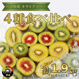 【先行予約】キウイ 4種アソート 約1.9kg 山口県阿武町産【2026年11月～2027年2月発送】